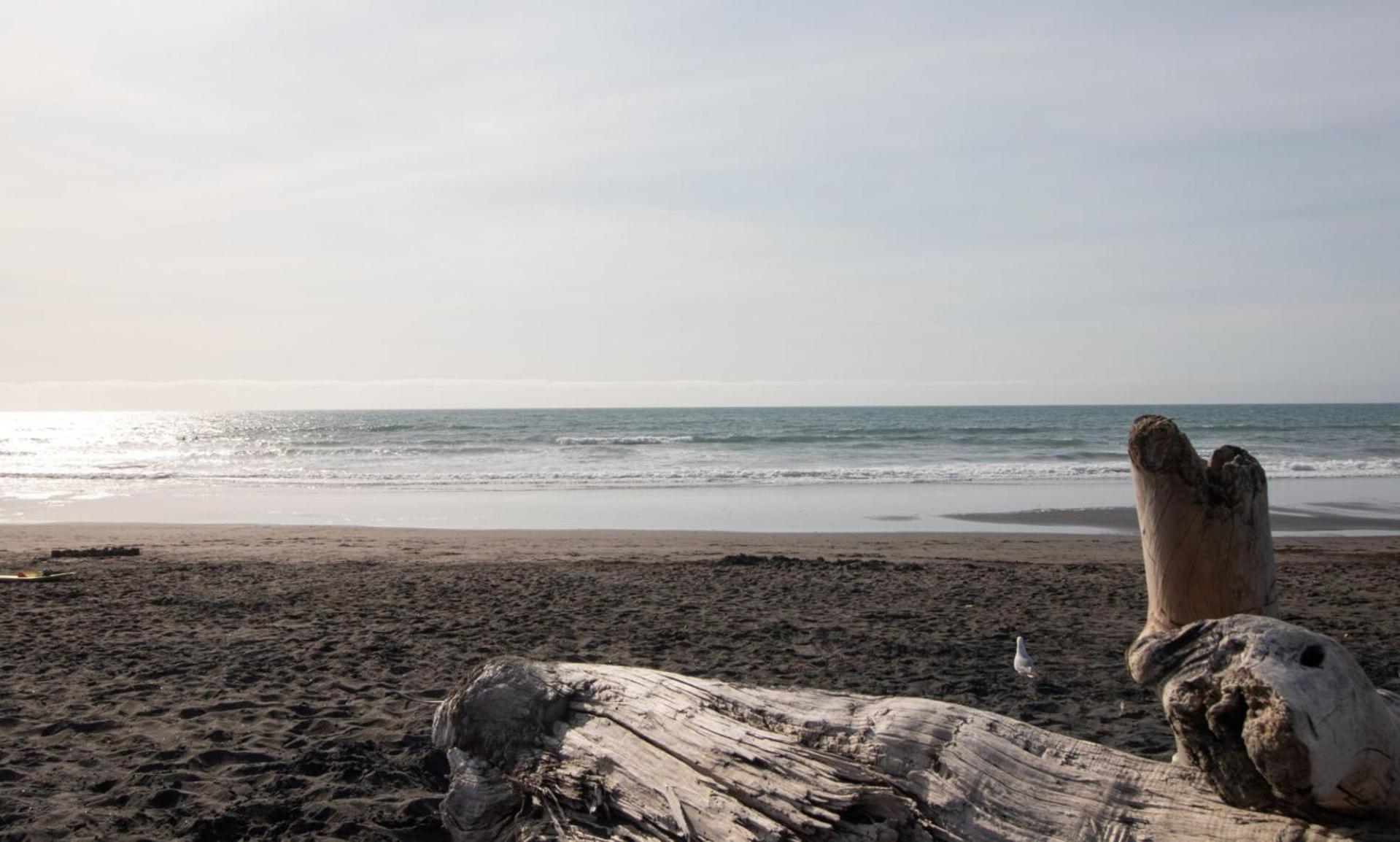 The Dunes At Fitzroy Beach Unit 2 New Plymouth Bagian luar foto